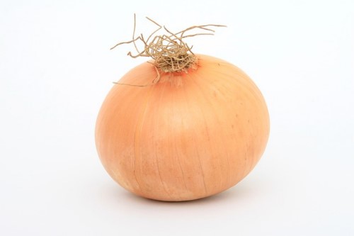 CEBOLLA