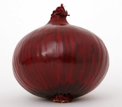 CEBOLLA