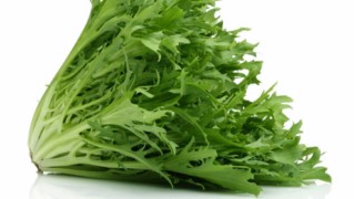 ACHICORIA