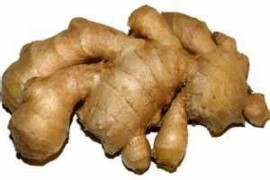 JENGIBRE