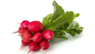 RABANITO